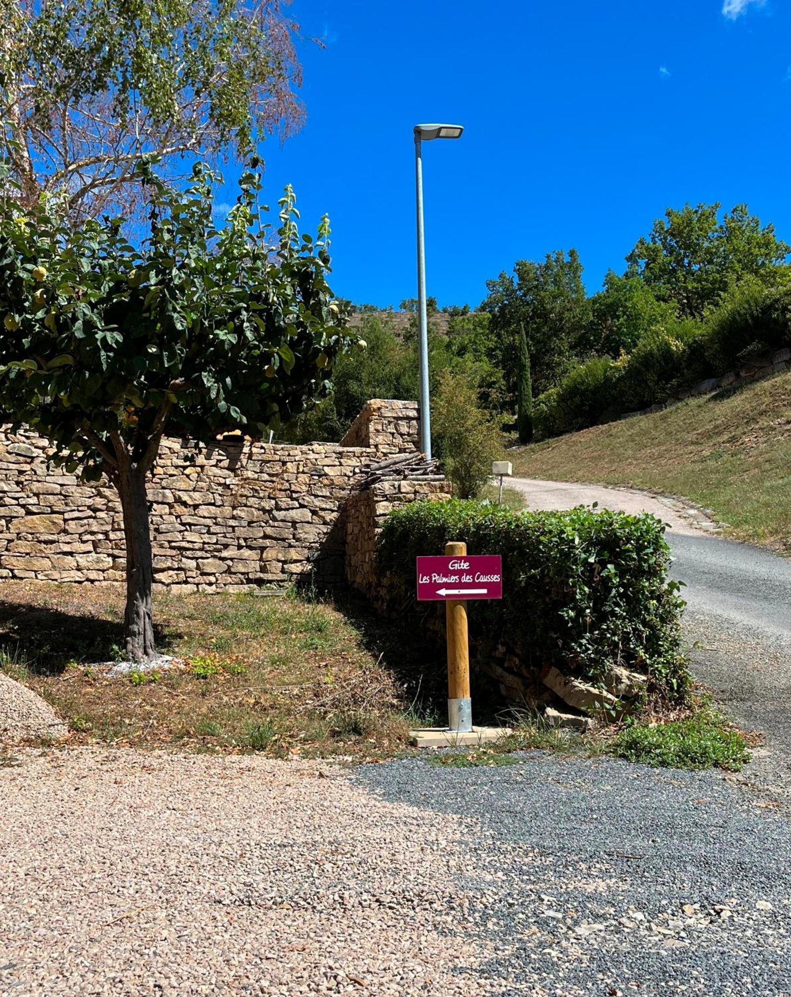 Villa Les Palmiers Des Causses Saint-Rome-de-Tarn Exterior foto